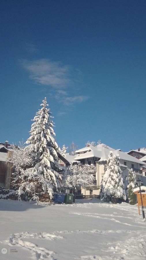 Ferienwohnung Nenad Jevtic Zlatibor Exterior foto