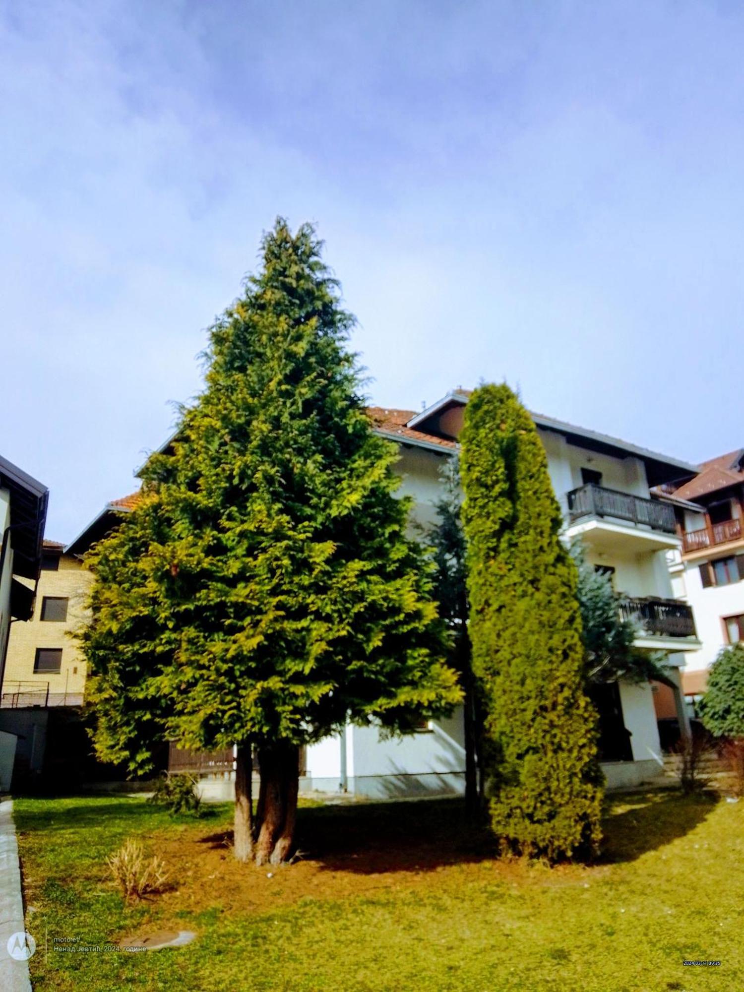 Ferienwohnung Nenad Jevtic Zlatibor Exterior foto